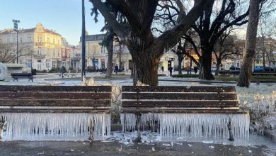 Леденото царство Русе